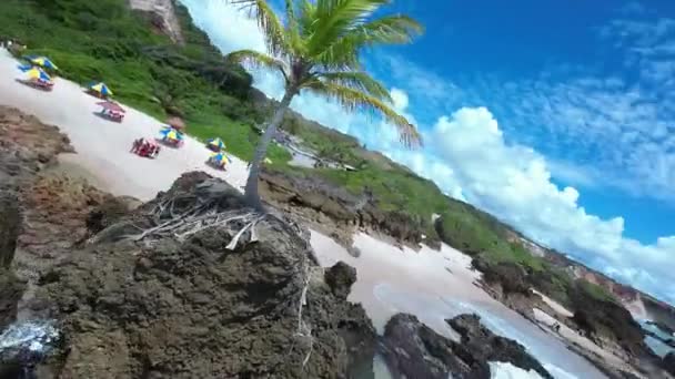 パライバ ブラジルのジョアペソアにあるタンバビーチ 屋外の風景 自然のビーチ 背景は自然 夏の旅行 ジョアオ ペソアのタンババ ビーチ パラベア — ストック動画