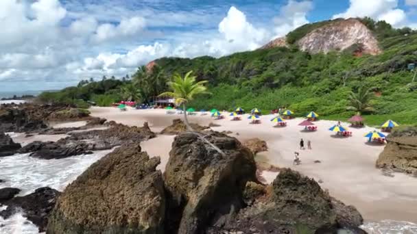 Tambaba Beach Conde Paraiba Brésil Paysage Plage Destination Voyage Nature — Video