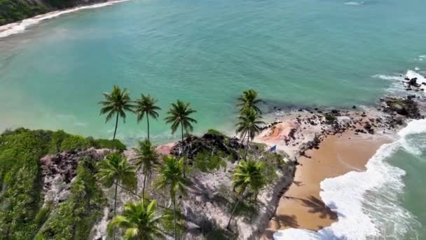 Praia Coqueirinho Conde Paraíba Brasil Paisagem Praia Destino Viagem Fundo — Vídeo de Stock