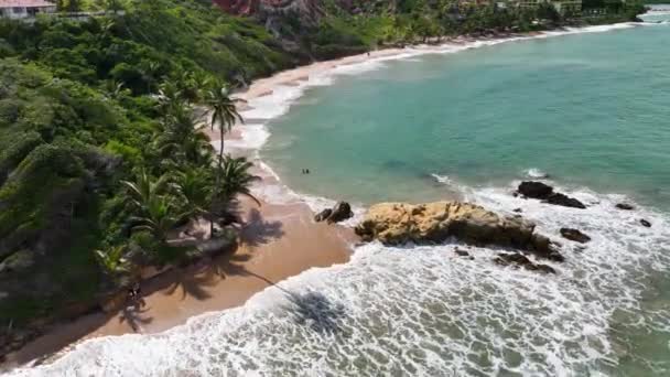 Praia Coqueirinho Conde Paraíba Brasil Paisagem Praia Destino Viagem Fundo — Vídeo de Stock