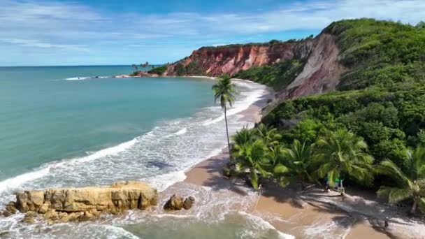 Пляж Табатинга Жоао Пессоа Параибе Бразилия Открытый Ландшафт Пляж Естественный — стоковое видео
