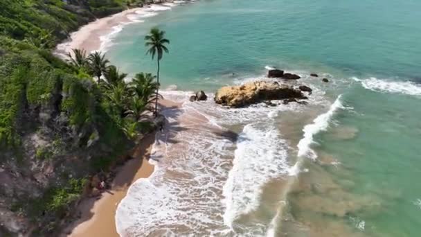 Tabatinga Spiaggia Conde Paraiba Brasile Paesaggio Della Spiaggia Destinazione Viaggio — Video Stock