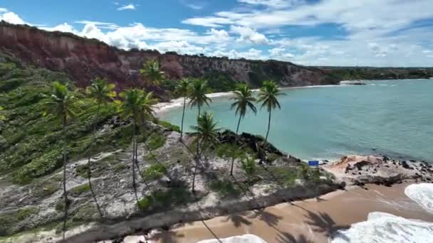 Praia Coqueirinho Conde Paraíba Brasil Paisagem Praia Destino Viagem Fundo — Vídeo de Stock