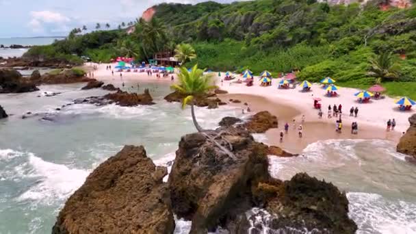 パライバ島のコンデでタンババビーチブラジル ビーチの風景 旅行先 自然背景 屋外空中 コンデ パライバ ブラジルのタンババビーチ — ストック動画