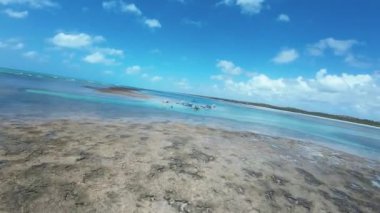 Alagoas Brezilya 'daki Sao Miguel Dos Milagres' te Toque Doğal Havuzları. Mercan Resifi Körfezi Suyu. Doğa manzarası. Paradisiac Manzarası. Seyahat güzergahı. Sao Miguel Dos Milagres Alagoas.