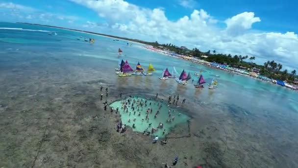 Természetes Medencék Chickens Beach Kikötőjében Pernambuco Brazíliában Korallzátonyok Öbölvize Természeti — Stock videók