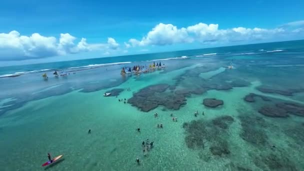 Pernambuco Brezilya Daki Tavuk Sahili Limanı Ndaki Doğal Havuzlar Mercan — Stok video