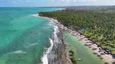 Carneiros Sahili, Tamandare, Pernambuco Brezilya. Egzotik Körfez Suyu. Doğa manzarası. Paradisiac Manzarası. Seyahat güzergahı. Carneiros Plajı Tamandare, Pernambuco Brezilya.