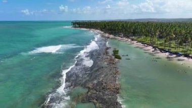 Carneiros Sahili, Tamandare, Pernambuco Brezilya. Egzotik Körfez Suyu. Doğa manzarası. Paradisiac Manzarası. Seyahat güzergahı. Carneiros Plajı Tamandare, Pernambuco Brezilya.