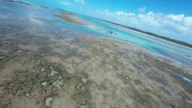 Alagoas Brezilya 'daki Sao Miguel Dos Milagres' te Doğa Havuzu. Mercan Kayalıkları Körfezi Suyu. Doğa manzarası. Cennet Manzarası. Seyahat belgesi. Sao Miguel Dos Milagres Alagoas.