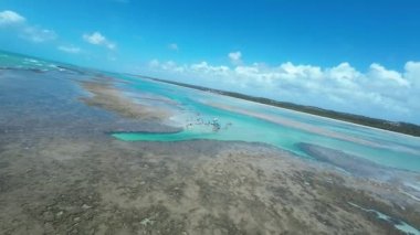 Alagoas Brezilya 'daki Sao Miguel Dos Milagres' te Toque Doğal Havuzları. Mercan Resifi Körfezi Suyu. Doğa manzarası. Paradisiac Manzarası. Seyahat güzergahı. Sao Miguel Dos Milagres Alagoas.