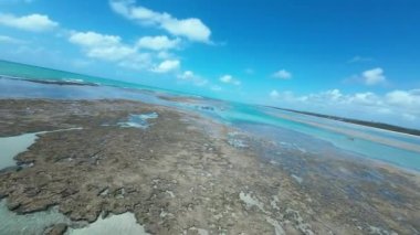 Alagoas Brezilya 'daki Sao Miguel Dos Milagres' te Doğa Havuzu. Mercan Kayalıkları Körfezi Suyu. Doğa manzarası. Cennet Manzarası. Seyahat belgesi. Sao Miguel Dos Milagres Alagoas.