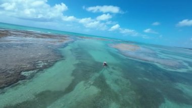Alagoas Brezilya 'daki Sao Miguel Dos Milagres Plaj Sahnesi. Mercan Resifi Körfezi Suyu. Doğa manzarası. Paradisiac Manzarası. Seyahat güzergahı. Sao Miguel Dos Milagres Alagoas.