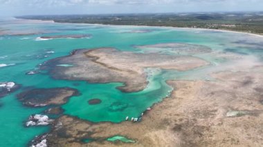 Alagoas Brezilya 'daki Sao Miguel Dos Milagres Doğal Havuzları. Mercan Kayalıkları Körfezi Suyu. Doğa manzarası. Cennet Manzarası. Seyahat belgesi. Sao Miguel Dos Milagres Alagoas.