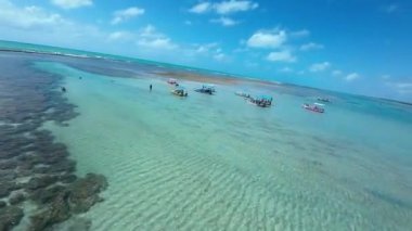 Alagoas Brezilya 'daki Sao Miguel Dos Milagres' te Doğa Havuzu. Mercan Kayalıkları Körfezi Suyu. Doğa manzarası. Cennet Manzarası. Seyahat belgesi. Sao Miguel Dos Milagres Alagoas.
