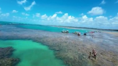 Alagoas Brezilya 'daki Sao Miguel Dos Milagres Doğal Havuzları. Mercan Kayalıkları Körfezi Suyu. Doğa manzarası. Cennet Manzarası. Seyahat belgesi. Sao Miguel Dos Milagres Alagoas.