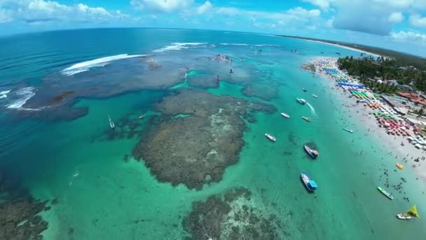 Coral Reef Scenario Porto Dei Polli Pernambuco Brasile Acqua Esotica — Video Stock