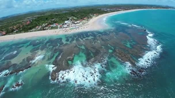 Pernambuco Brezilya Nın Tavuk Kumsalındaki Cupe Plajı Mercan Resifi Körfezi — Stok video