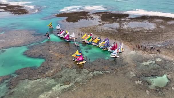 Rafts Port Chickens Pernambuco Brazil Exotic Bay Water Природний Ландшафт — стокове відео