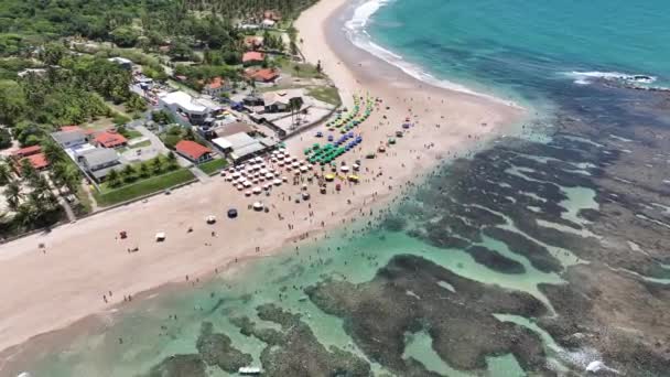 Pernambuco Brezilya Nın Tavuk Kumsalındaki Cupe Plajı Mercan Resifi Körfezi — Stok video