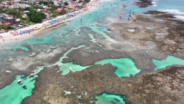 Porto Polli Spiaggia Ipojuca Pernambuco Brasile Acqua Coral Reef Bay — Video Stock