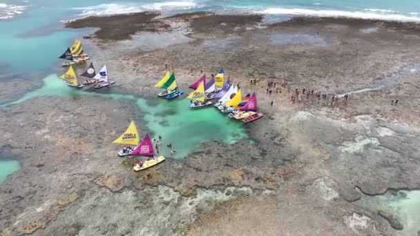 Pernambuco Brezilya Daki Ipojuca Daki Port Chickens Plajı Egzotik Körfez — Stok video