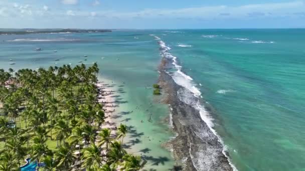 Pernambuco Brezilya Daki Tamandare Koyun Kumsalı Egzotik Körfez Suyu Doğa — Stok video