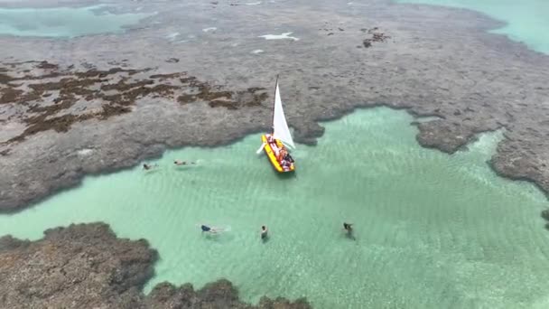Pernambuco Brezilya Daki Tavukların Limanı Nda Sallar Mercan Resifi Körfezi — Stok video