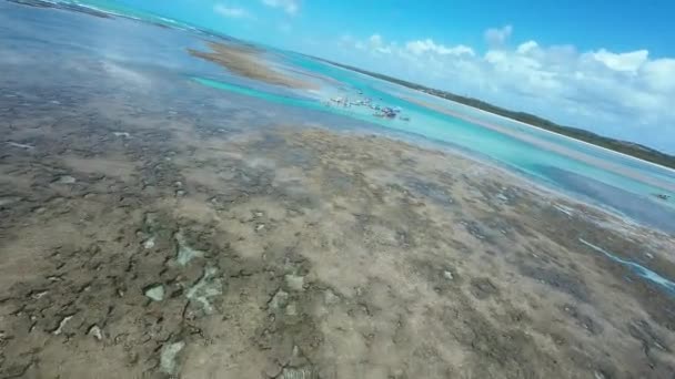 Piscina Natural Sao Miguel Dos Milagres Alagoas Brasil Coral Reefs — Vídeos de Stock