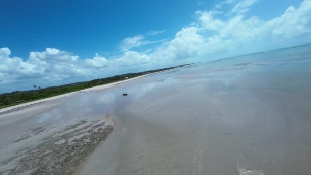 Природный Бассейн Сао Эль Дос Милагрес Бразильском Штате Алагоас Коралловые — стоковое видео