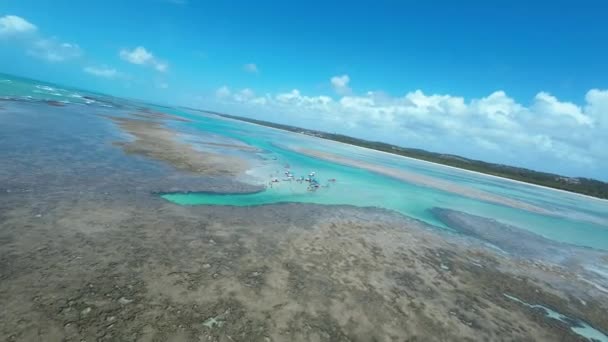 サンミゲル ミラグレスのトック自然プールアラゴアス ブラジル サンゴ礁湾の水 自然景観 パラディシアの風景 旅行先 サンミゲル マリアゴス Alago — ストック動画