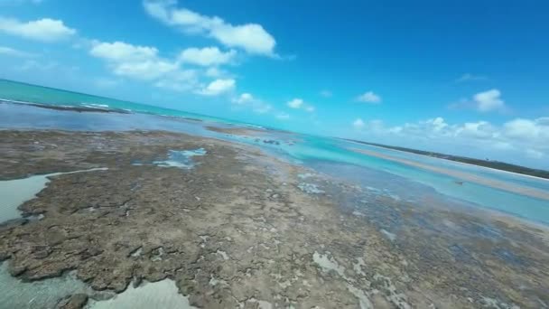 Naturpool Sao Miguel Dos Milagres Alagoas Brasilien Korallrev Bay Water — Stockvideo