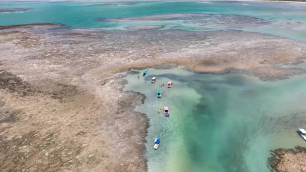 Natuurzwembad Bij Sao Miguel Dos Milagres Alagoas Brazilië Koraalriffen Bay — Stockvideo