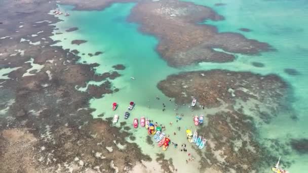 Basen Przyrody Pajucara Maceio Alagoas Brazylia Wody Zatoki Koralowej Krajobraz — Wideo stockowe