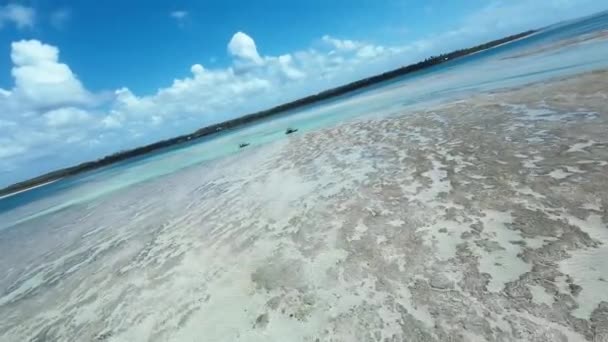 Patacho Piscina Natural Sao Miguel Dos Milagres Alagoas Brasil Coral — Vídeo de stock