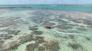 Patacho Doğa Havuzu Sao Miguel Dos Milagres Alagoas Brezilya 'da. Mercan Resifi Körfezi Suyu. Doğa manzarası. Paradisiac Manzarası. Seyahat güzergahı. Sao Miguel Dos Milagres Alagoas.