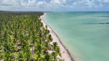 Alagoas Brezilya 'daki Maragogi Plaj Sahnesi. Turizm arazisi. Karayip arka planı. Seyahat Manzarası. Tatil Varış Yeri. Deniz Burnu Sahnesi. Alagoas Brezilya 'daki Maragogi Plaj Sahnesi.