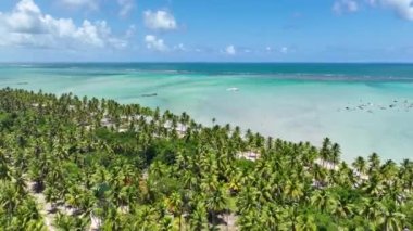 Alagoas Brezilya 'daki Maragogi Plaj Sahnesi. Turizm arazisi. Karayip arka planı. Seyahat Manzarası. Tatil Varış Yeri. Deniz Burnu Sahnesi. Alagoas Brezilya 'daki Maragogi Plaj Sahnesi.