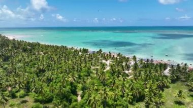 Alagoas Brezilya 'daki Maragogi Plaj Sahnesi. Turizm arazisi. Karayip arka planı. Seyahat Manzarası. Tatil Varış Yeri. Göz kamaştırıcı sahne. Alagoas Brezilya 'daki Maragogi Plaj Sahnesi.