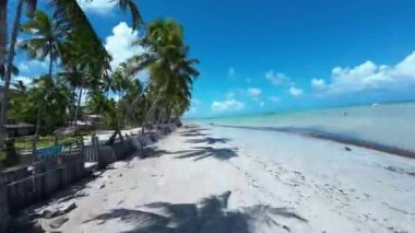 Alagoas Brezilya 'daki Maragogi Tropik Plajı. Turizm arazisi. Karayip arka planı. Seyahat Manzarası. Tatil Varış Yeri. Deniz Burnu Sahnesi. Alagoas Brezilya 'daki Maragogi Tropik Plajı.