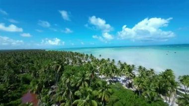 Alagoas Brezilya 'daki Maragogi Plaj Sahnesi. Turizm arazisi. Karayip arka planı. Seyahat Manzarası. Tatil Varış Yeri. Göz kamaştırıcı sahne. Alagoas Brezilya 'daki Maragogi Plaj Sahnesi.