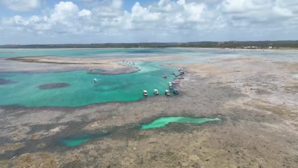 Patacho Piscines Naturelles Sao Miguel Dos Milagres Alagoas Brésil Coral — Video