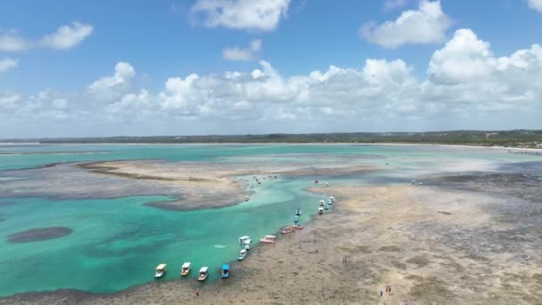 Natürliche Pools Sao Miguel Dos Milagres Alagoas Brasilien Coral Reefs — Stockvideo