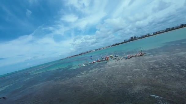 Piscina Natural Pajucara Maceió Alagoas Brasil Coral Reef Bay Water — Vídeo de Stock