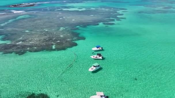 Naturpool Ved Japaratinga Alagoas Brasilien Koralrev Bay Water Naturlandskab Paradis – Stock-video