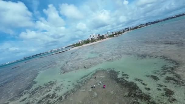 Alagoas Brezilya Daki Maceio Doğa Havuzu Deniz Feneri Manzarası Plaj — Stok video