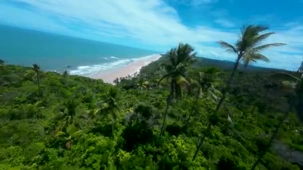 Spiaggia Itacarezinho Itacare Bahia Brasile Turismo Paesaggio Sfondo Naturale Paesaggio — Video Stock