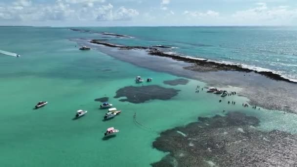 Basen Przyrody Japaratinga Alagoas Brazylia Rafy Koralowe Bay Water Krajobraz — Wideo stockowe