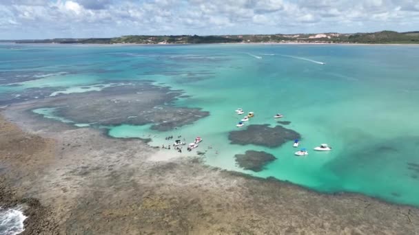 Alagoas Brezilya Daki Japaratinga Doğal Havuzları Mercan Kayalıkları Körfezi Suyu — Stok video