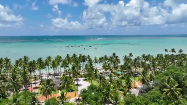 ブラジルのアラゴギにあるトロピカルビーチ 観光風景 カリブ海を背景に 旅行の風景 目的地 海辺の風景 アラゴギの熱帯ビーチ ブラジルのマラゴギ — ストック動画